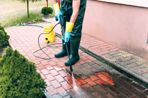 Solar Panel Cleaning in Elsmere, DE